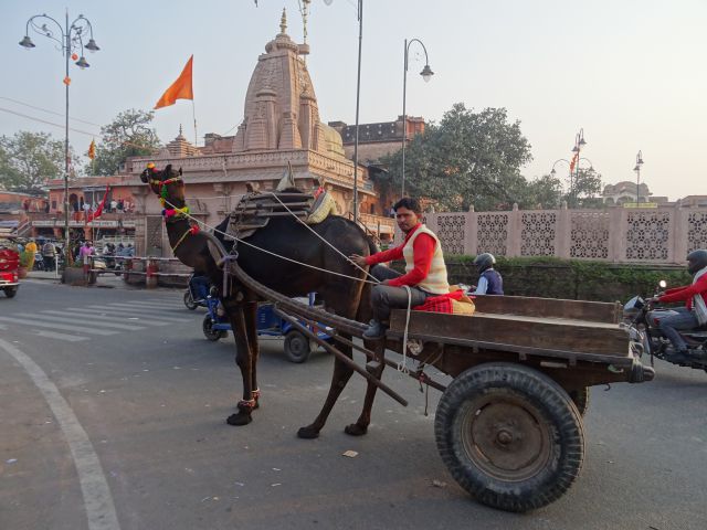 Jaipur